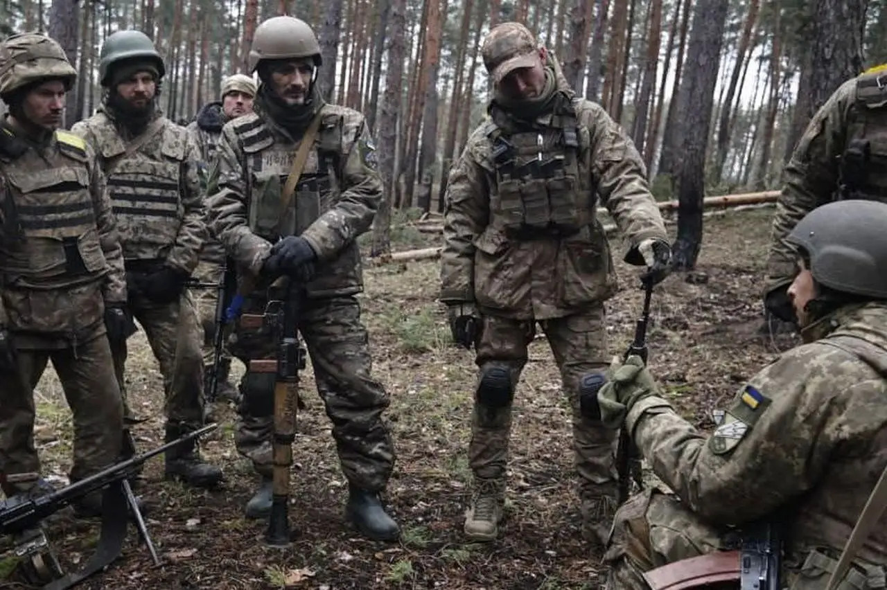 Новая линия обороны у Гришино должна задержать ВС РФ после взятия Покровска