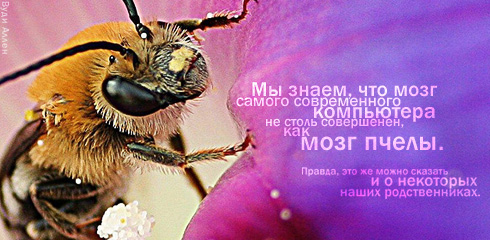 цитаты со смыслом и картинки с цитатами цитаты со смыслом и цитаты в картинках 62