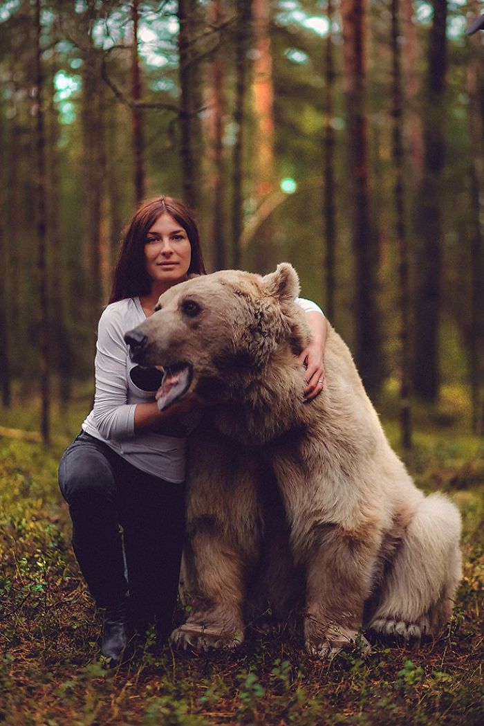 Встретили медведя. Девушка и медведь. Фотосессия с медведем. Красивая девушка с медведем. Девушка с медведем в лесу.