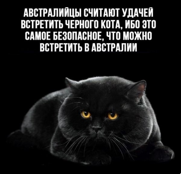 Интернет мемы в воскресение и парковка Интернет мемы в воскресение и парковка