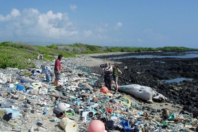 Мусорный остров в Тихом океане более, пластика, остров, мусора, океана, Pacific, пластик, только, морских, масса, мусорный, попадает, водоворот, острова, площадь, окружающей, жизнь, можно, течений, когда
