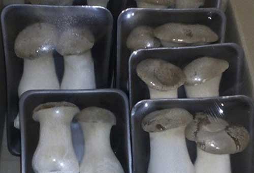 Что приготовить из еринги 