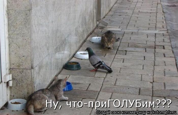 Мысли вслух :)