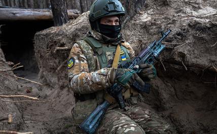 Сбежать от «могилизации» под венец — чем не вариант?