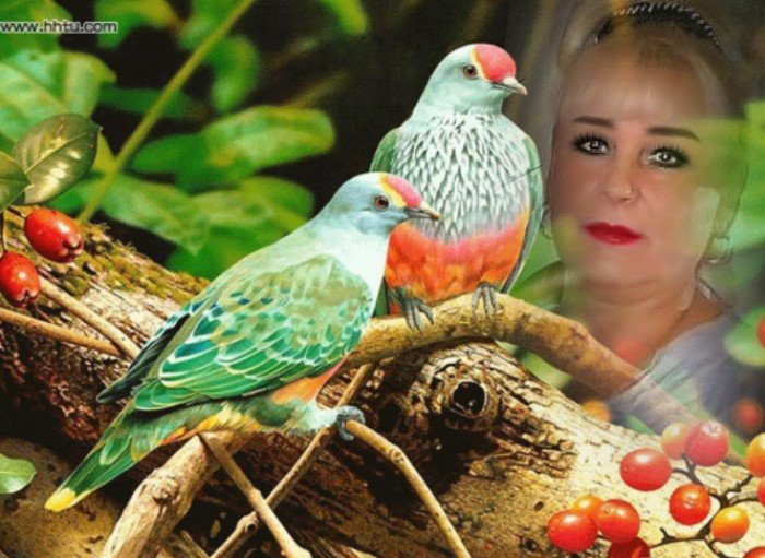 Деграклассники Деграклассники