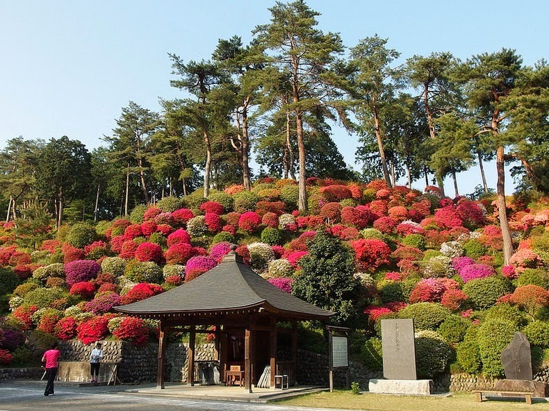 Shiofune-Kannon-ji Temple – буддийский храм, окруженный разноцветными кустами азалии авиатур