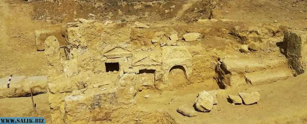 Раскопки в оазисе Сива.