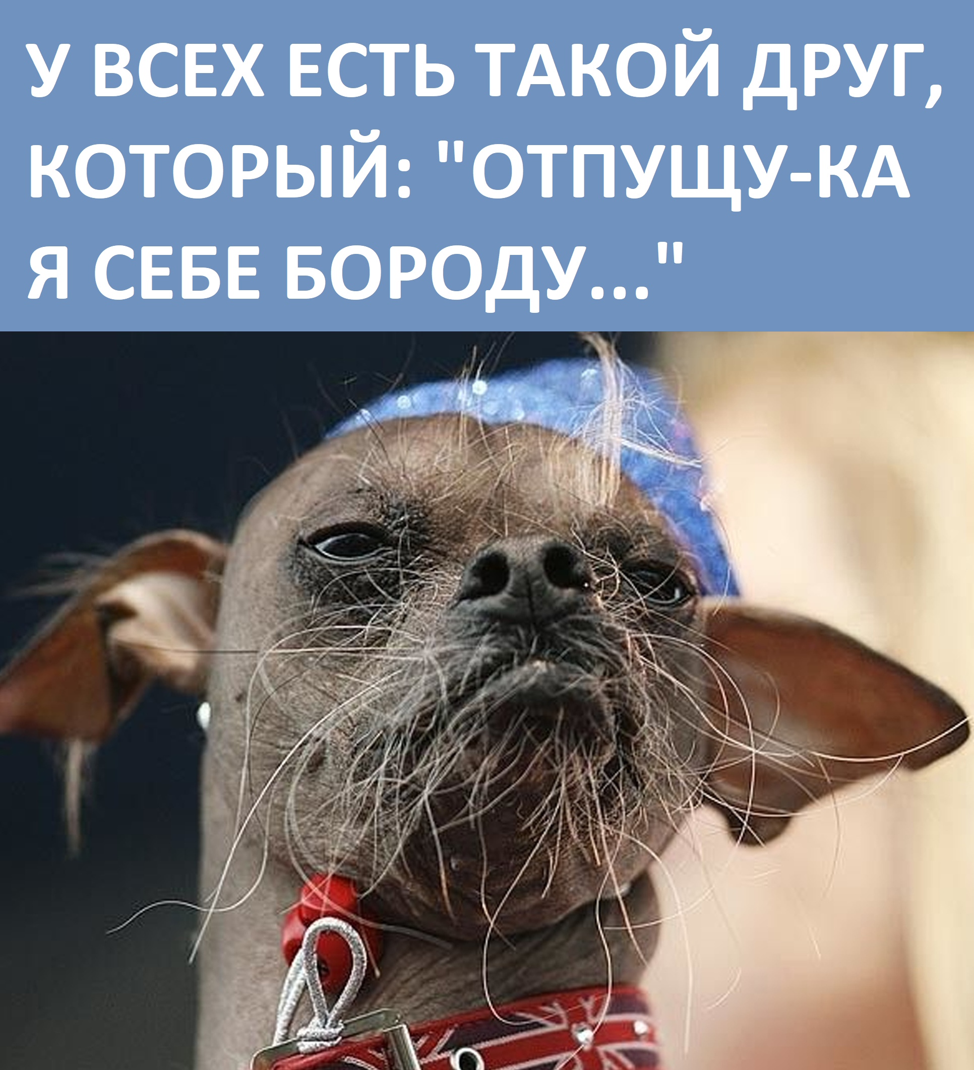 Юмор из интернета 756 Юмор из интернета 756 позитив,смех,улыбки,юмор