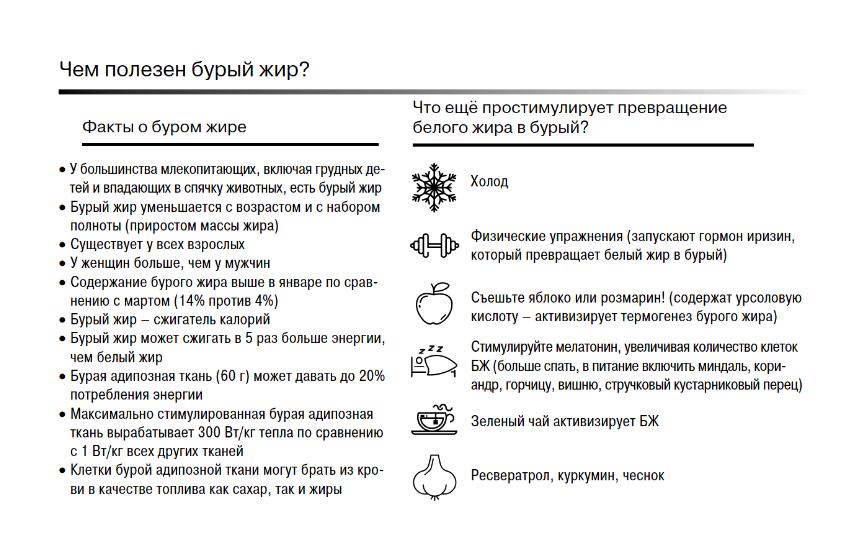 Для чего человеку нужны жировые прослойки жир