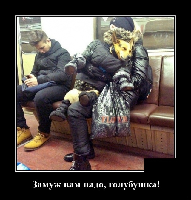 Демотиваторы 11 февраля 