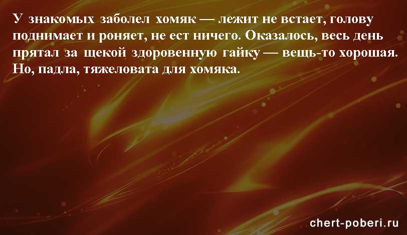 Самые смешные анекдоты ежедневная подборка chert-poberi-anekdoty-chert-poberi-anekdoty-17120416012021-13 картинка chert-poberi-anekdoty-17120416012021-13