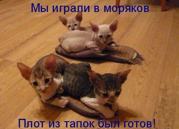 Мысли вслух :)