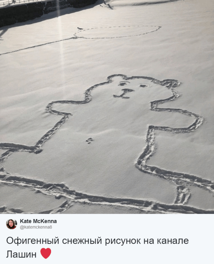 Канадка нашла нарисованного на снегу медведя, и теперь все пытаются понять: как ему сделали пупок?