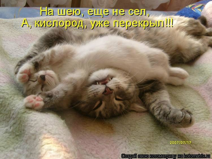 Пусть он ходит везде с тобой, там поймешь, кто такой..) веселые картинки