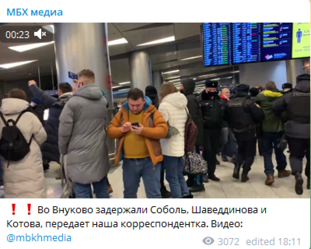 Соболь и Олега Навального задержали в аэропорту Внуково