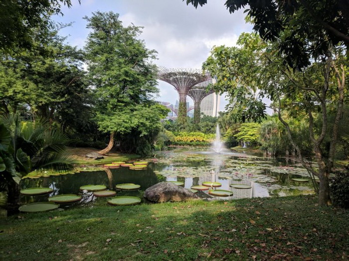 Фотоподборка вторника Фотоподборка вторника