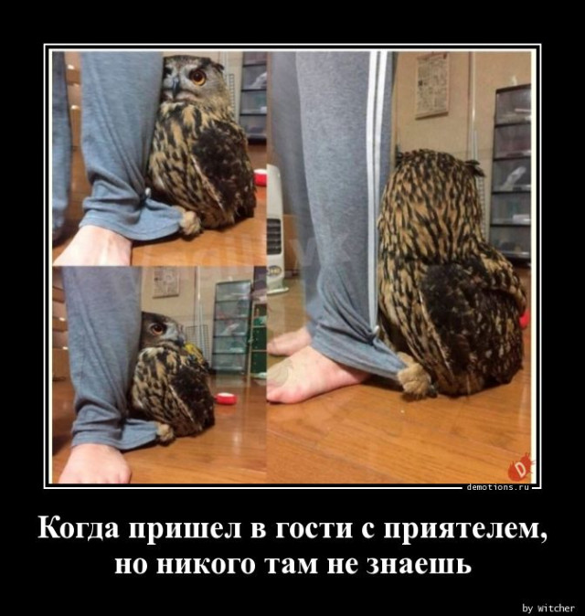 Демотиваторов пост: «Мамой клянусь!»  
