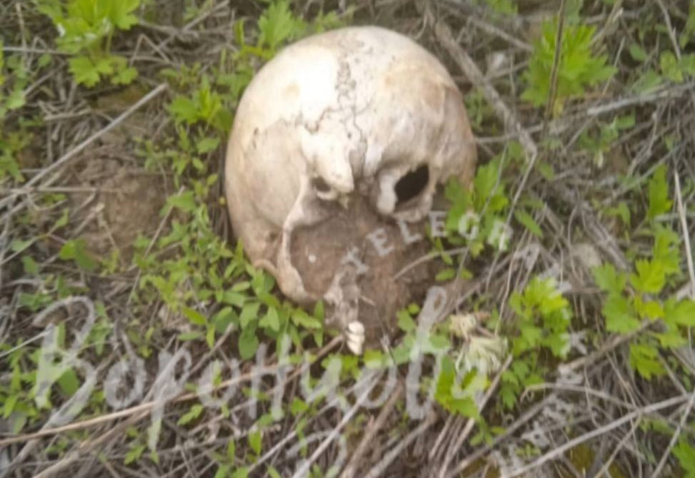 В Самаре нашли человеческий череп