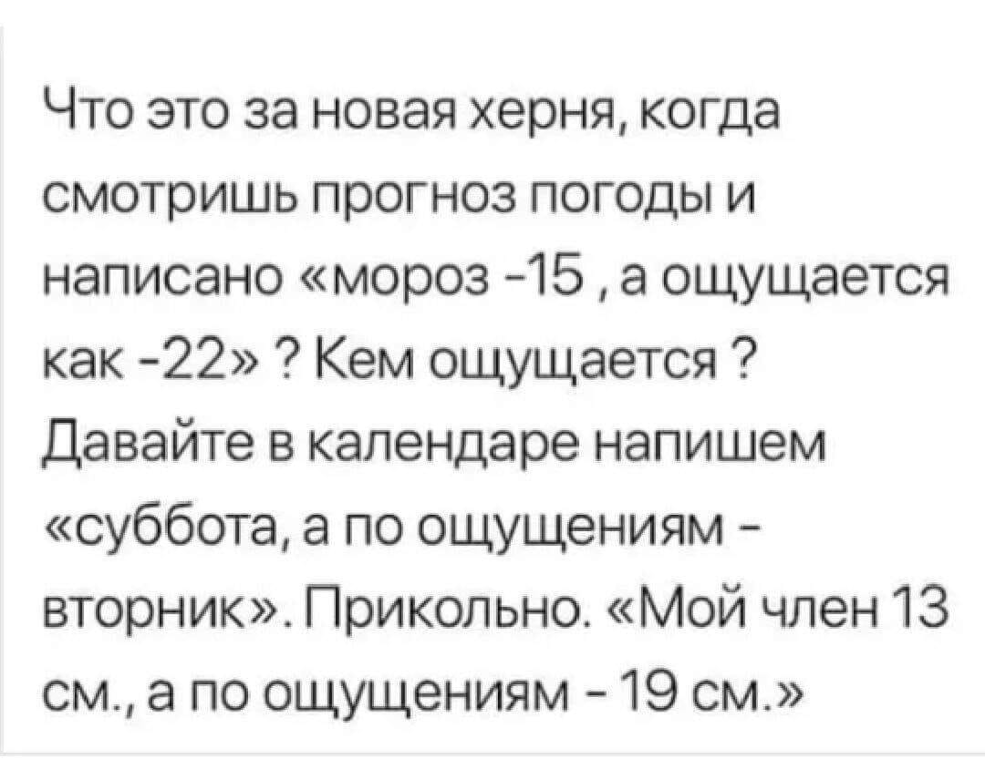 Семейное положение? – Командировочный! партии, почему, убедиться, лично, хочет, каждый, собралась, толпа, такая, Тогда, избирательном, ничего, абсолютно, происходит, здесь, Калашников , Михаил, переводят, России, Почему