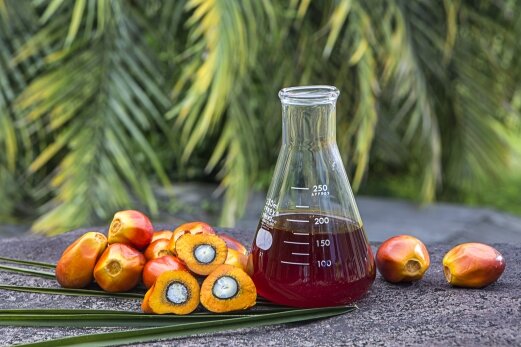 Гид по пальмовому маслу: с ветки к нам в тарелку масло, масла, пальмового, пальмовое, может, продукт, также, жиров, насыщенных, холестерина, много, рафинирования, пальма, которых, масле, использовать, продуктов, которые, Африки, только