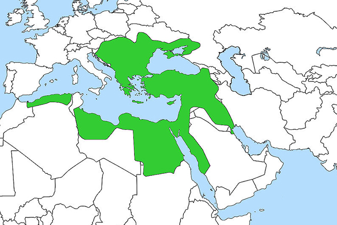 Территория Османской империи при Сулеймане I.