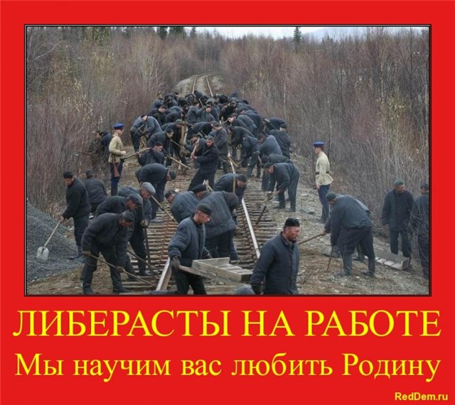 Смешные картинки про либералов, лет смс мастер-класс