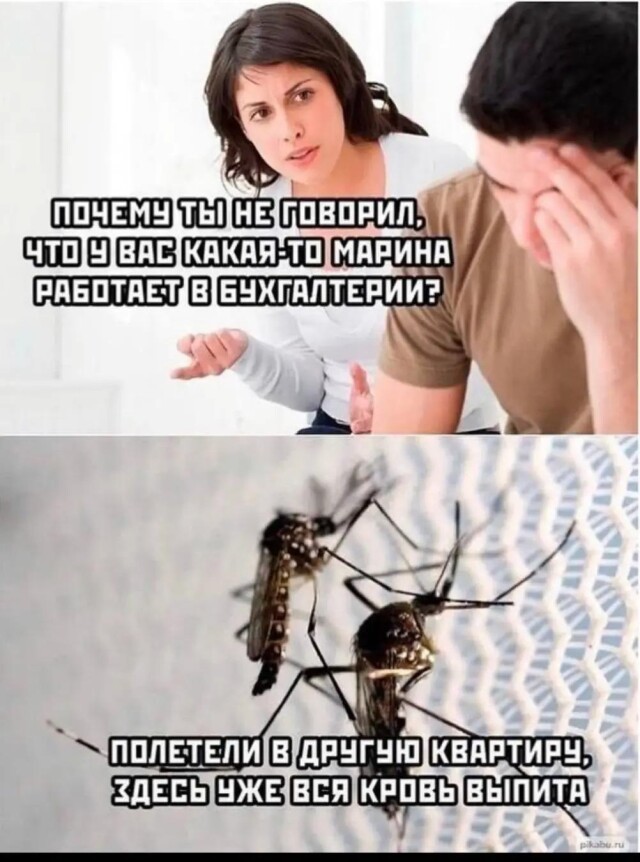 Приколы в начале недели 