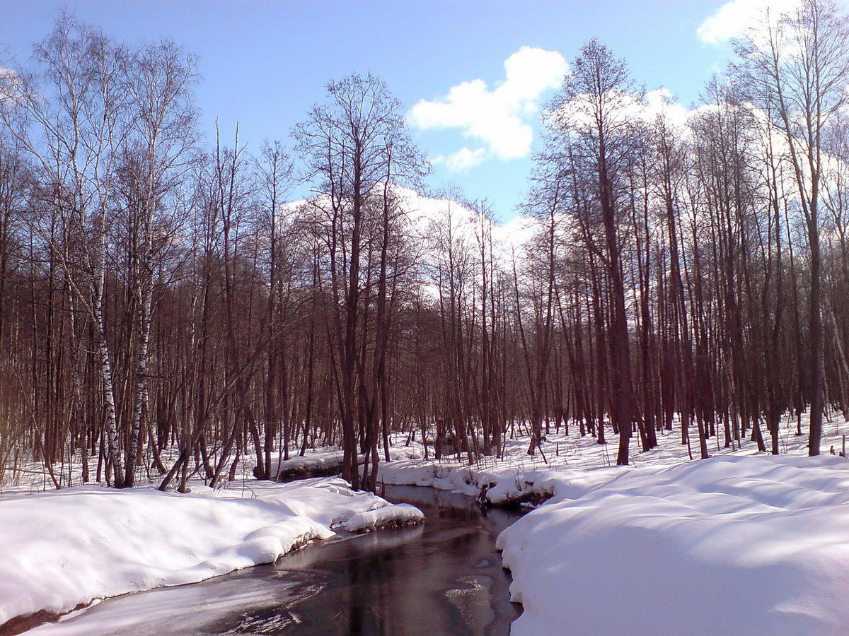 Русская охота