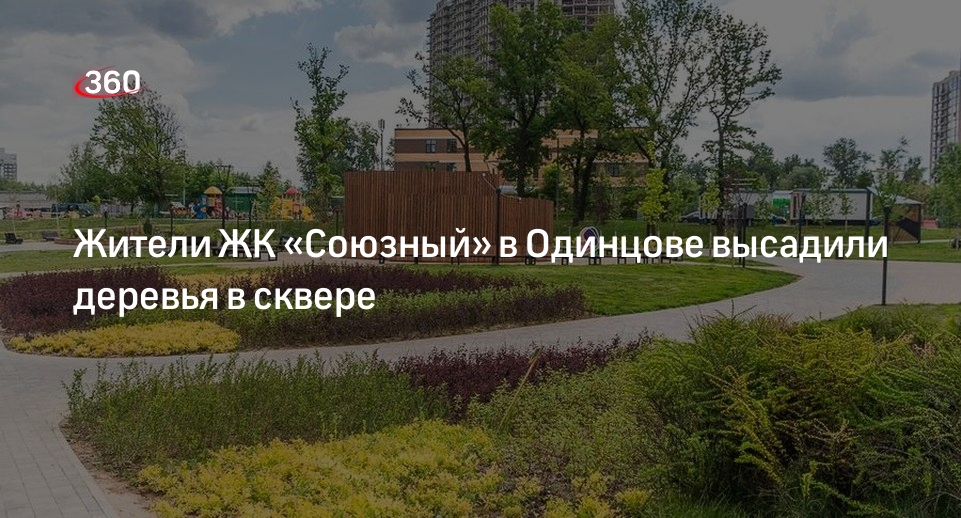 Жители ЖК «Союзный» в Одинцове высадили деревья в сквере