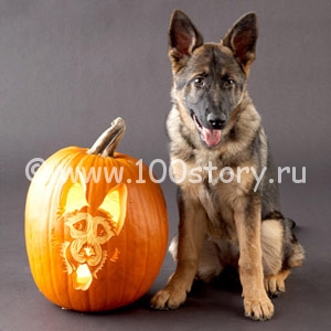 Зверские имена