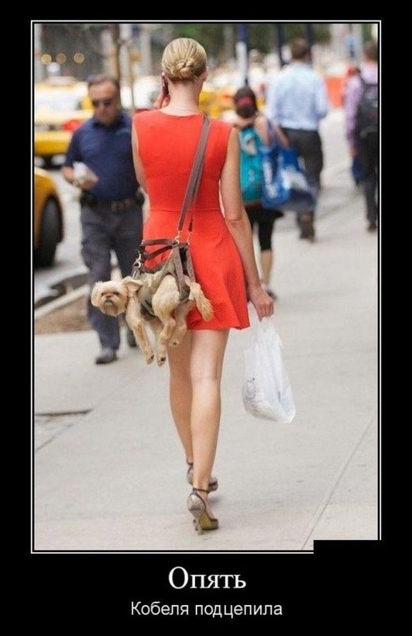 Классные субботние демотиваторы про девушек для хорошего настроения Классные субботние демотиваторы про девушек для хорошего настроения