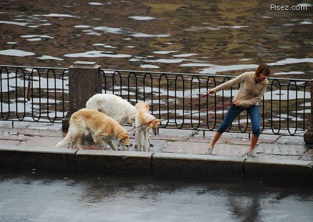 23 примера женских обломов, от которых хочется плакать и смеяться