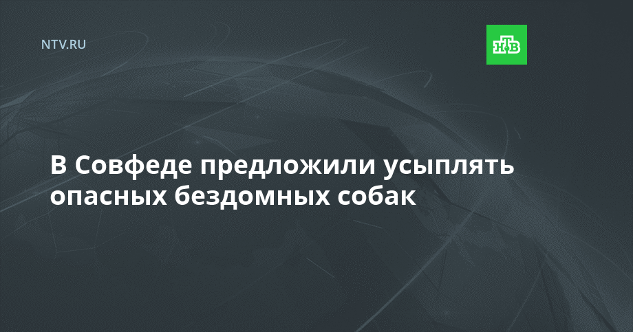 В Совфеде предложили усыплять опасных бездомных собак