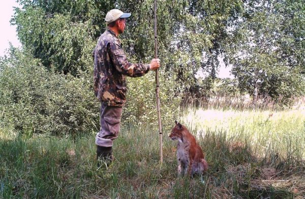 Мужчина установил фотоловушки возле Чернобыля. Камера зафиксировала невероятное!