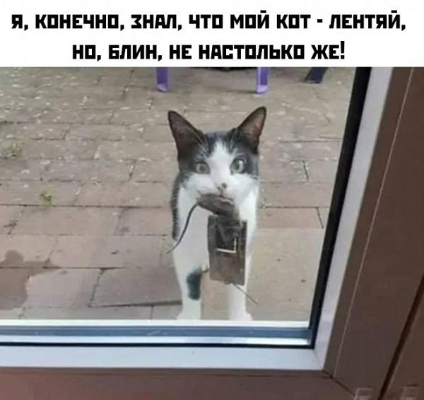 Подборка свежих картинок с надписями Подборка свежих картинок с надписями