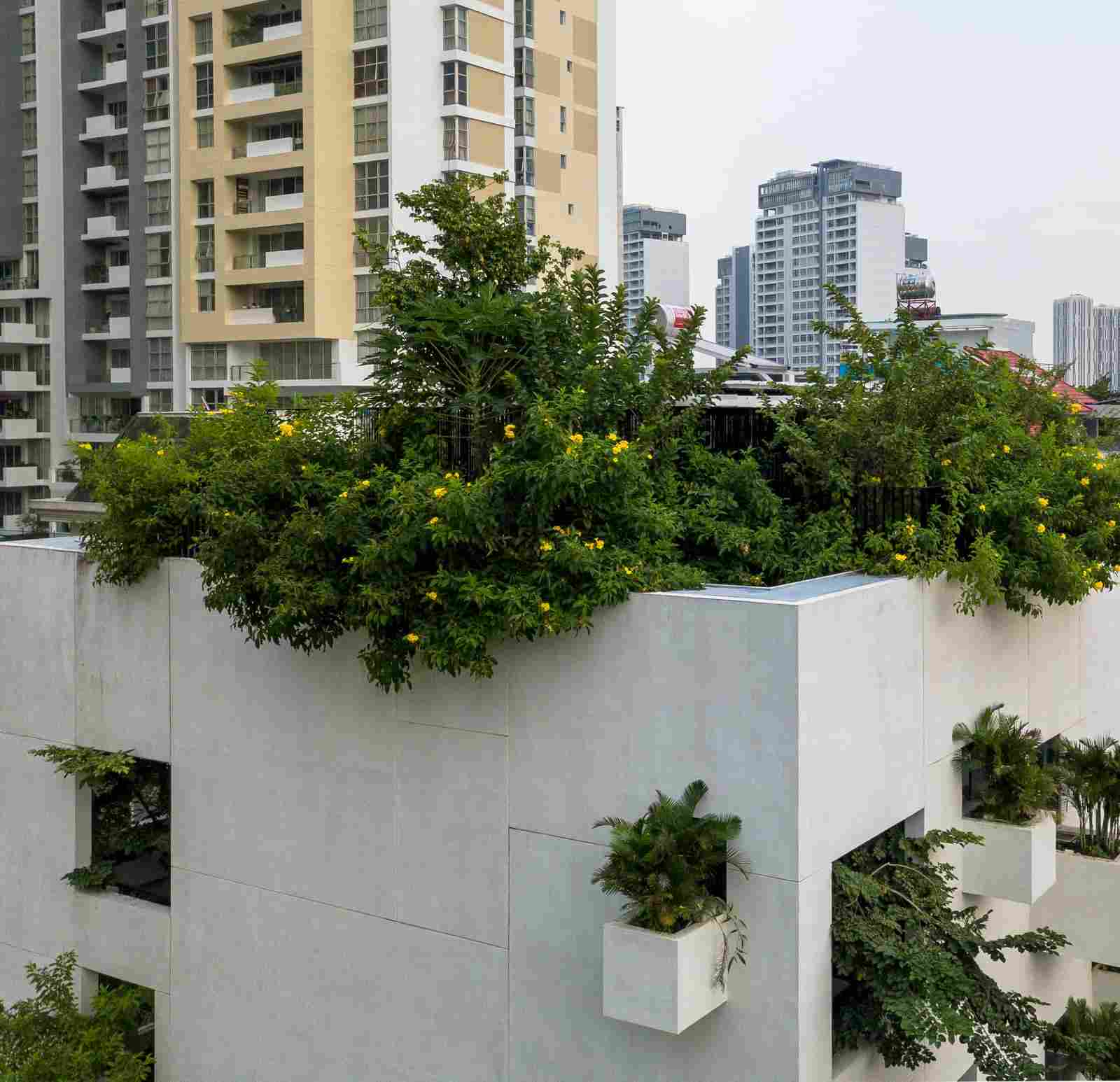 Вертикальная связь с природой в архитектуре здания