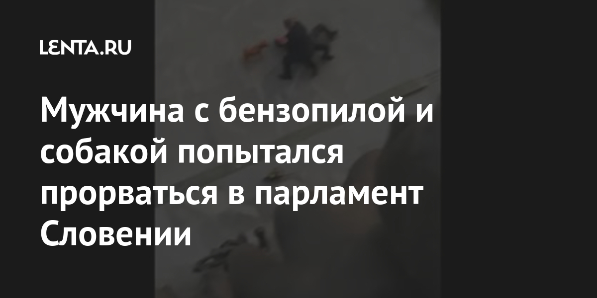 Мужчина с бензопилой и собакой попытался прорваться в парламент Словении злоумышленника, Мужчина, однако, палату, охранники, убьют, рассчитывал, задержан, оружием, ненастоящим, парламента, нижнюю, арестовали, ворваться, запланировал, поляк, 2019го, марте, арестовалиВ, мужчину