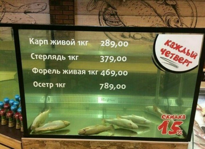 Ни рыба, ни мясо... | Фото: AGENT MDK.