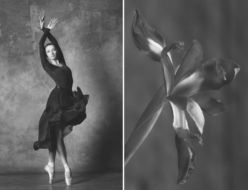 Фотография: Балерина и цветы: фотосерия о сходстве двух изяществ №3 - BigPicture.ru
