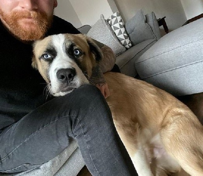 Мужчина и пес