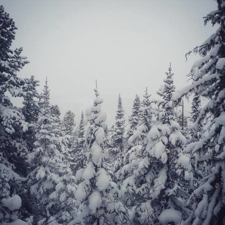 Осторожно! Аромат каждой из этих 20 фотографий вызывает очень сильную ностальгию Осторожно! Аромат каждой из этих 20 фотографий вызывает очень сильную ностальгию жизненное