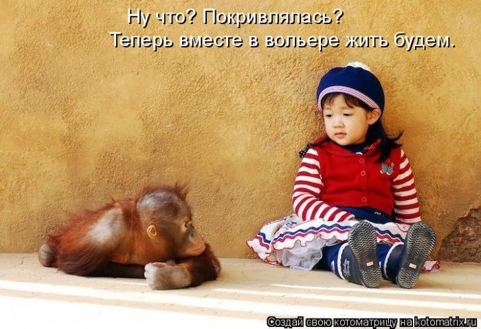 Мысли вслух :)