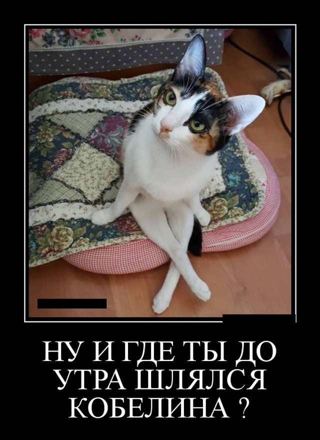 Я попробовала японский метод "расхламления":