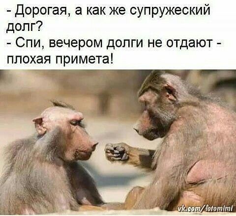 - Милая, я летел к тебе на крыльях любви! - Три дня? - Ветром сносило ... мужчина, имеет, право, говорит, компенсацию, болит, обязан, Девушка, форуме, наступлении, Когда, только, вторую, против, будто, требует, Польша, отвечает, Пусть, танков