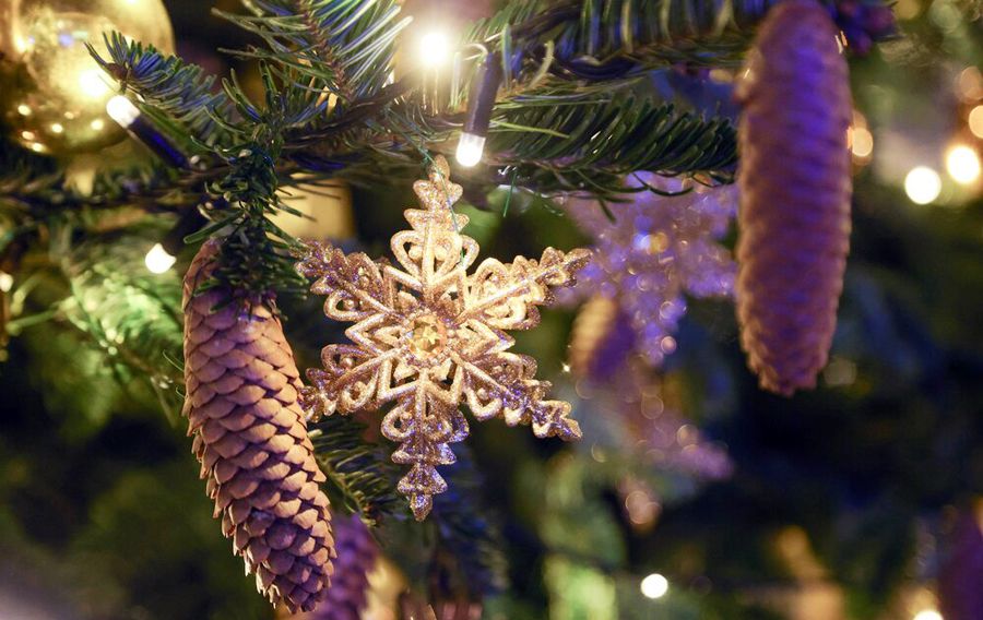  Дмитрий Белицкий/АГН «Москва»