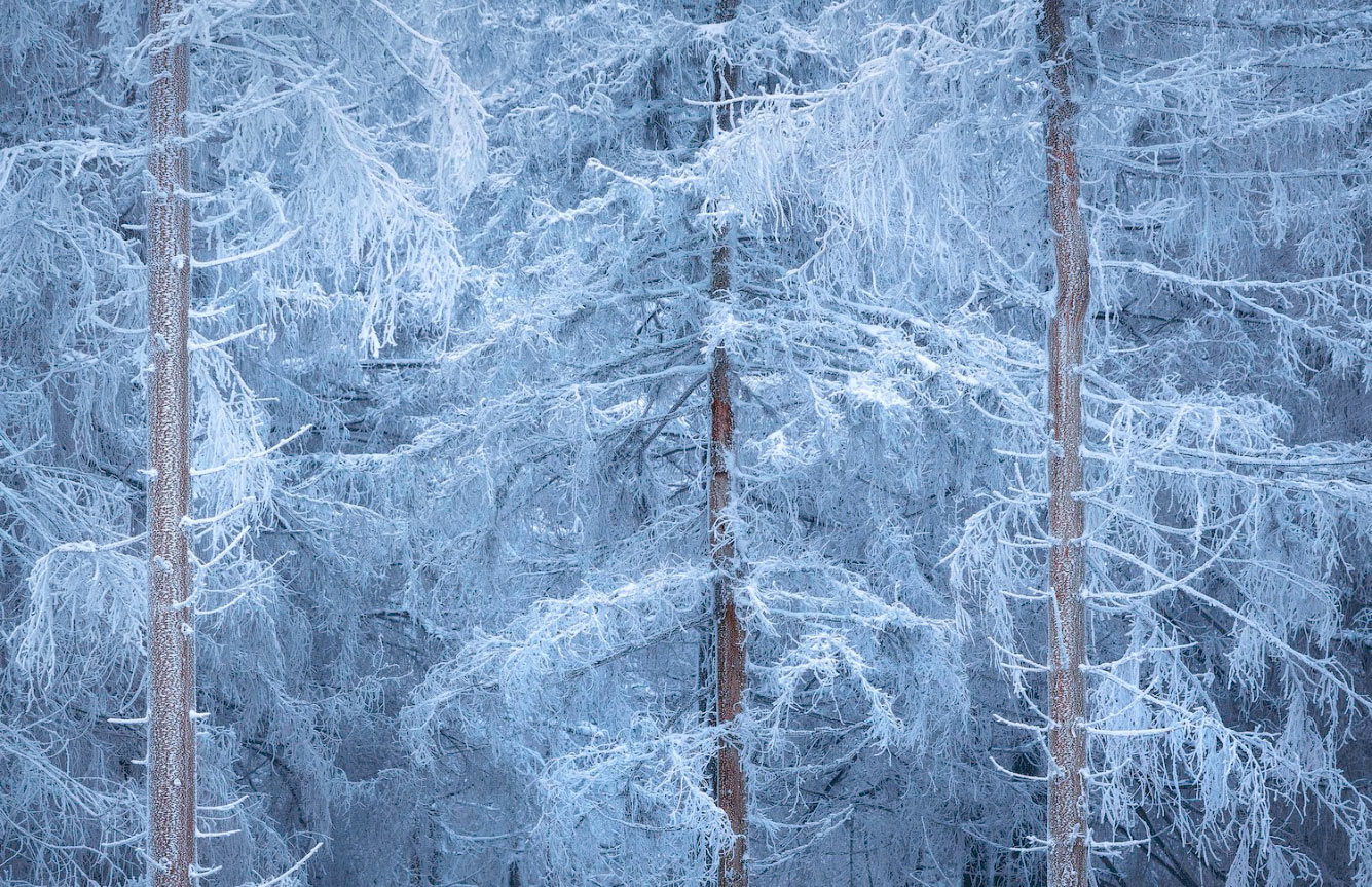 Конкурс Пейзажного фотограф года 2021 пейзажи,Путешествия,фото
