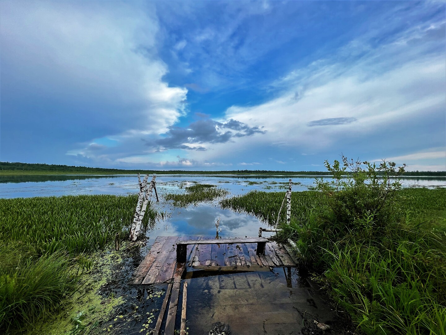 Парк 5 озер. Пять озёр Омская область. Потаенное озеро Омская область. Озера в Новосибирской области пять озер. Озеро Кадал Омская область.