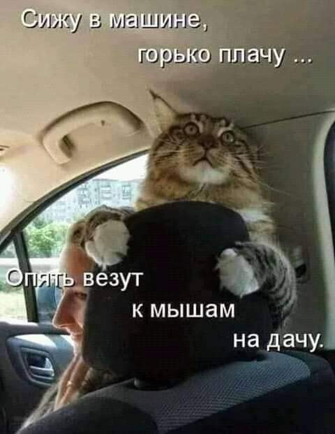 Юмор из интернета 641 Юмор из интернета 641 позитив,смех,улыбки,юмор