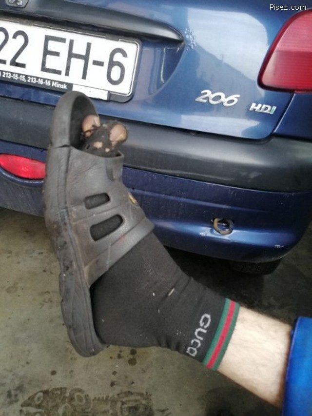 Приколы про мужчин. Суперхит! приколы,смешные картинки,юмор