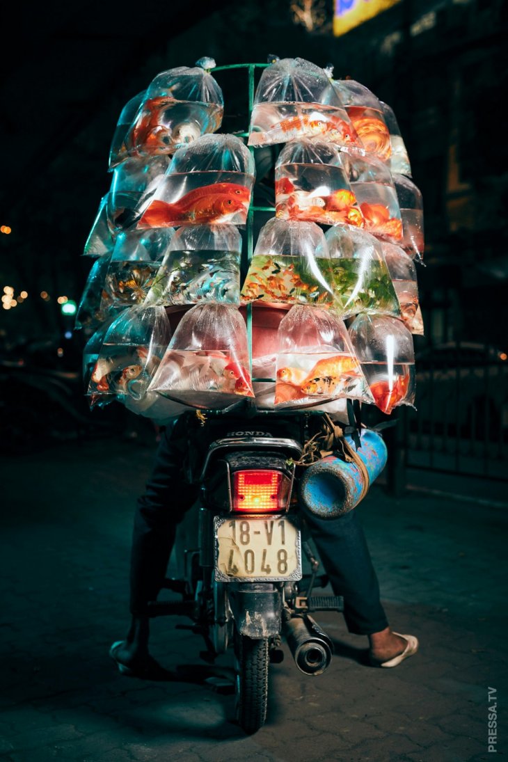 Вьетнамцы перевозят на мопедах все 